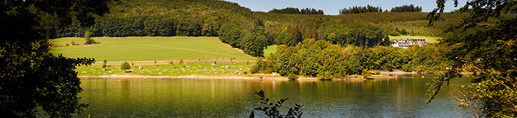 Vinaora Nivo Slider 3.x